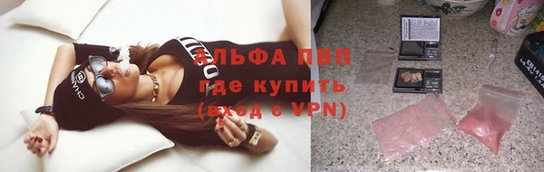гашик Липки