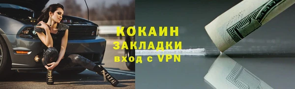 мдпв Магас