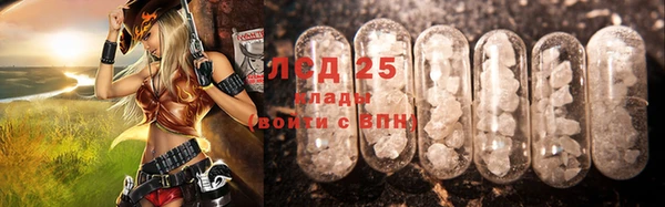 мдпв Магас