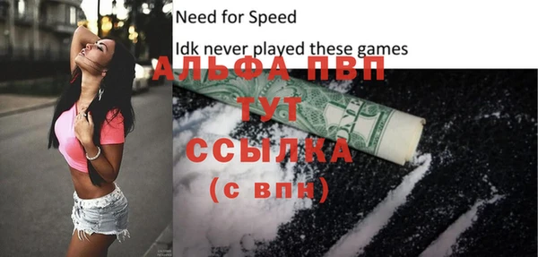 мдпв Магас