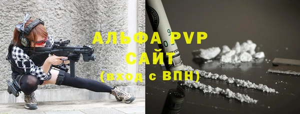гашик Липки