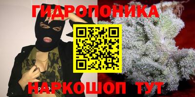 Альфа ПВП Аргун