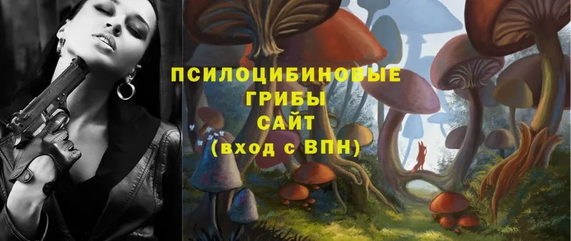 KRAKEN ССЫЛКА  Комсомольск-на-Амуре  Псилоцибиновые грибы Magic Shrooms 