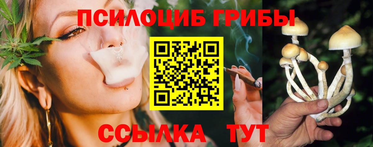 Комсомольск-на-Амуре  Галлюциногенные грибы Psilocybe  Вход с VPN 