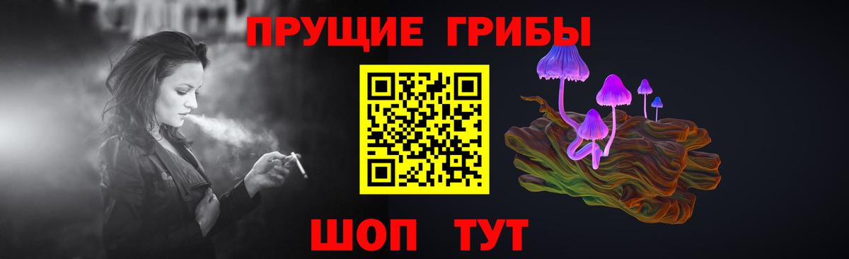 купить наркотики сайты  Комсомольск-на-Амуре  Галлюциногенные грибы Psilocybe 